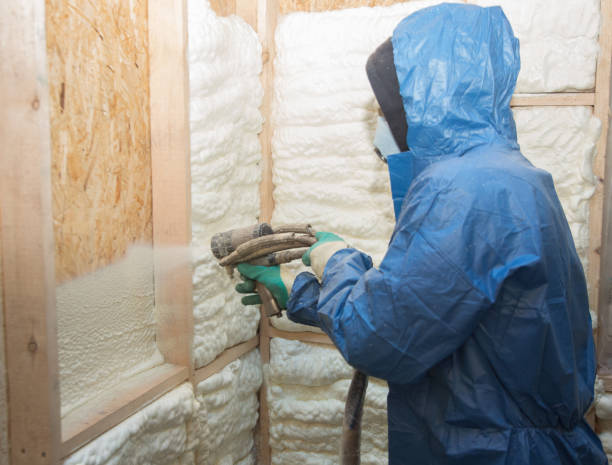 Best Wall Insulation Installation  in Eagle Point, AL